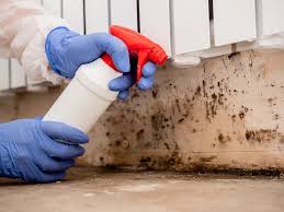 Best Mold Remediation for Rental Properties  in Cumming, GA